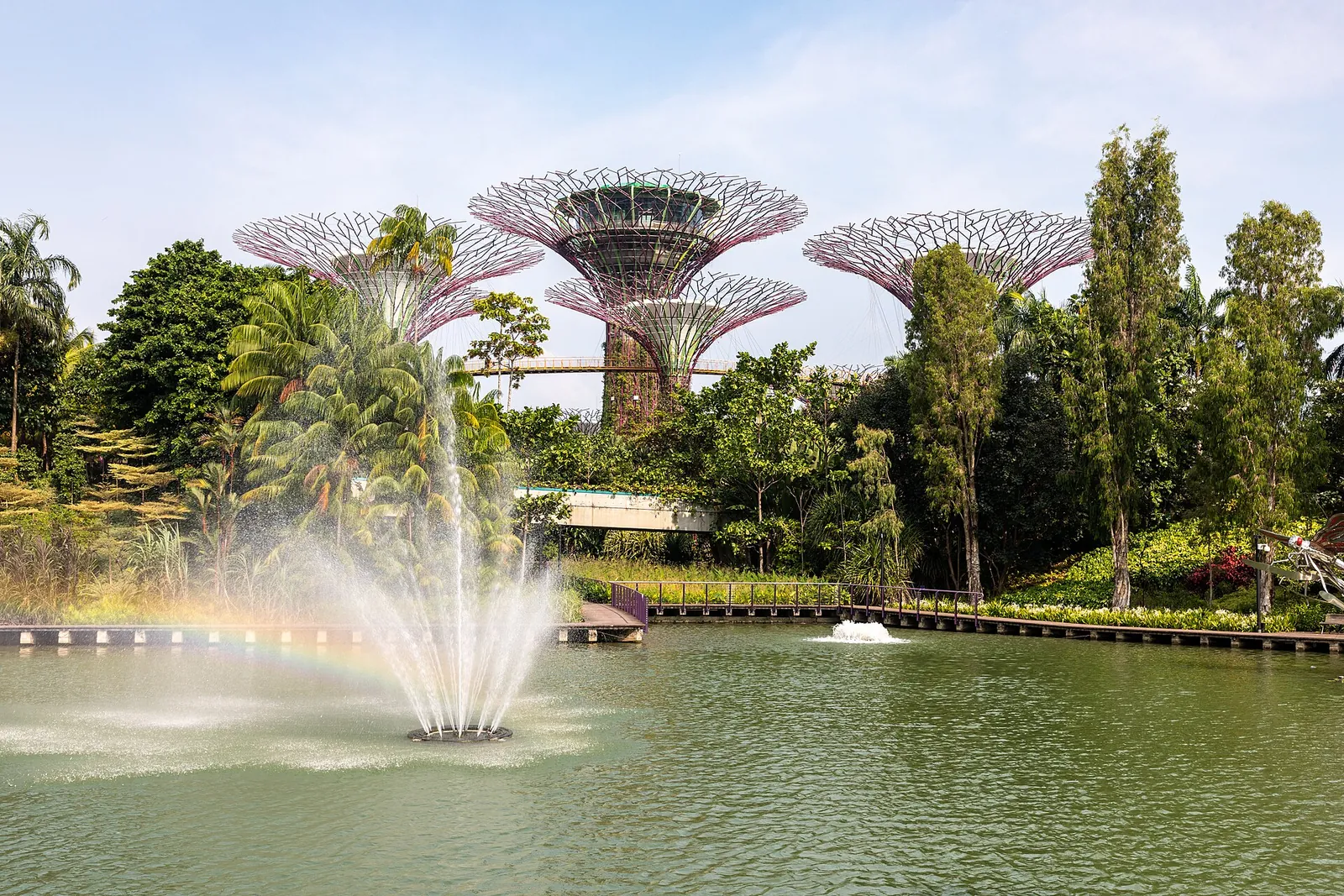 Supertrees and fountains at Gardens by the Bay