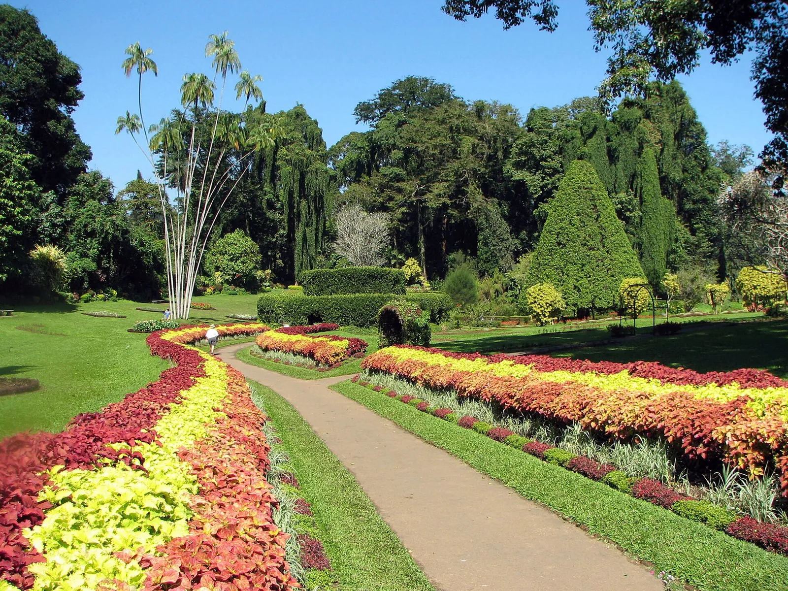 Bright flower beds at the Royal Botanic Gardens, Peradeniya