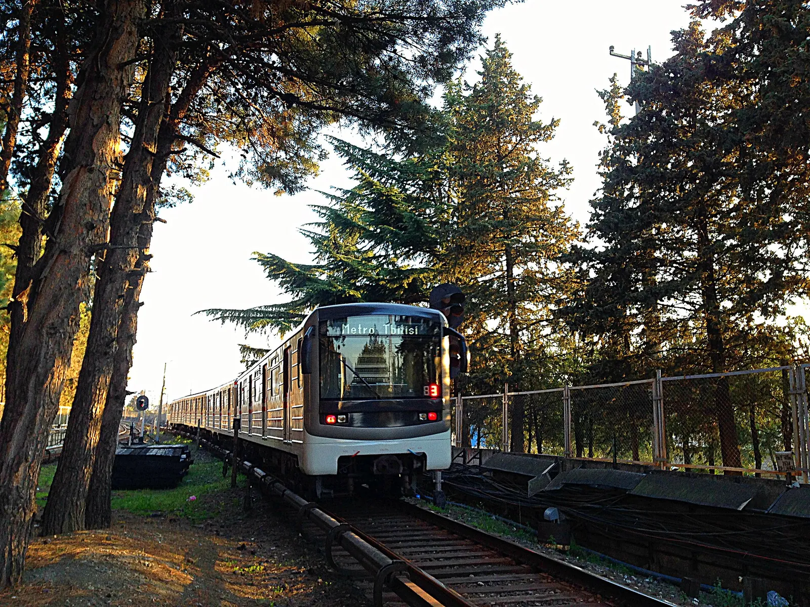 A Tbilisi metro train passing through green trees