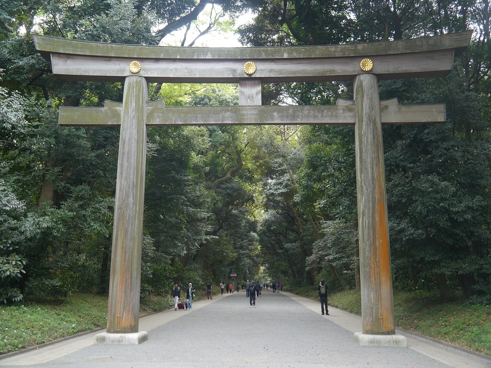 Giant wooden torii on the forest path to Meiji Jingu