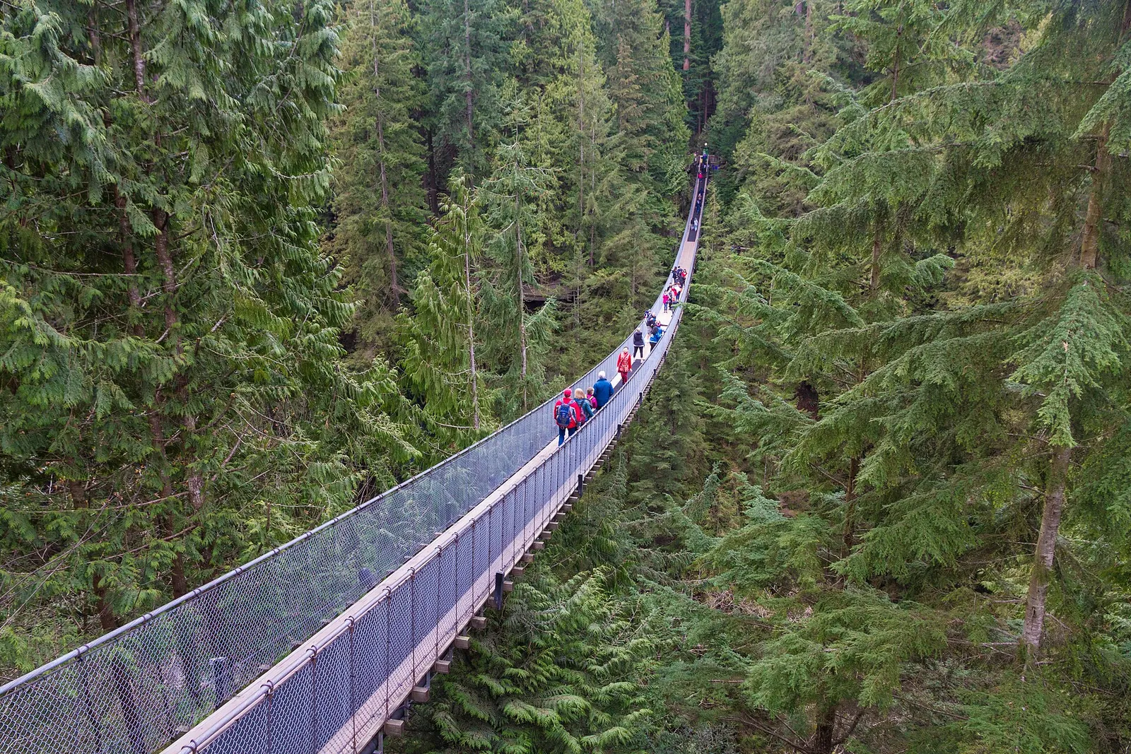 Capilano Suspension Bridge stretching over the rainforest