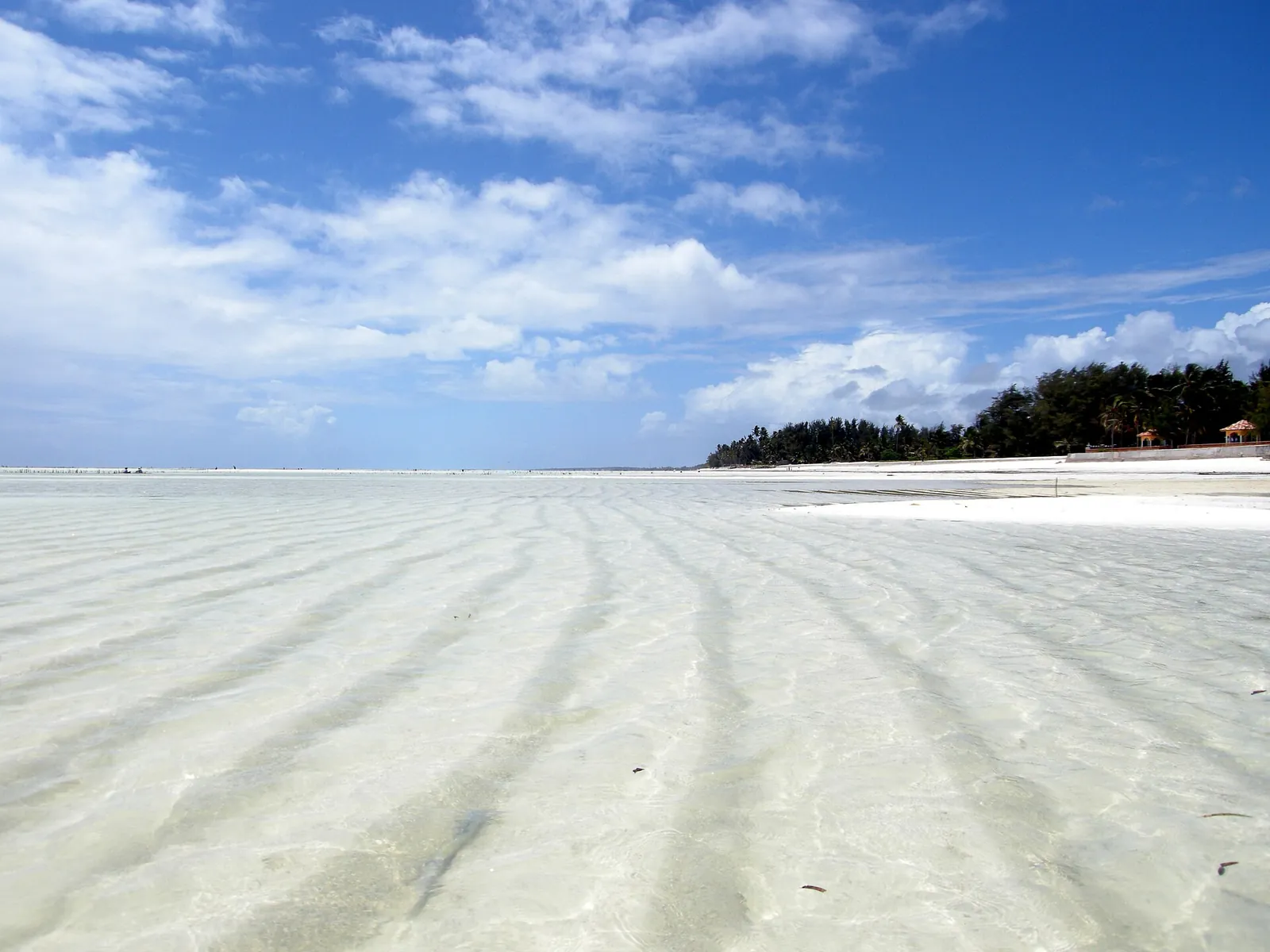 Rippled white sand at Paje at low tide