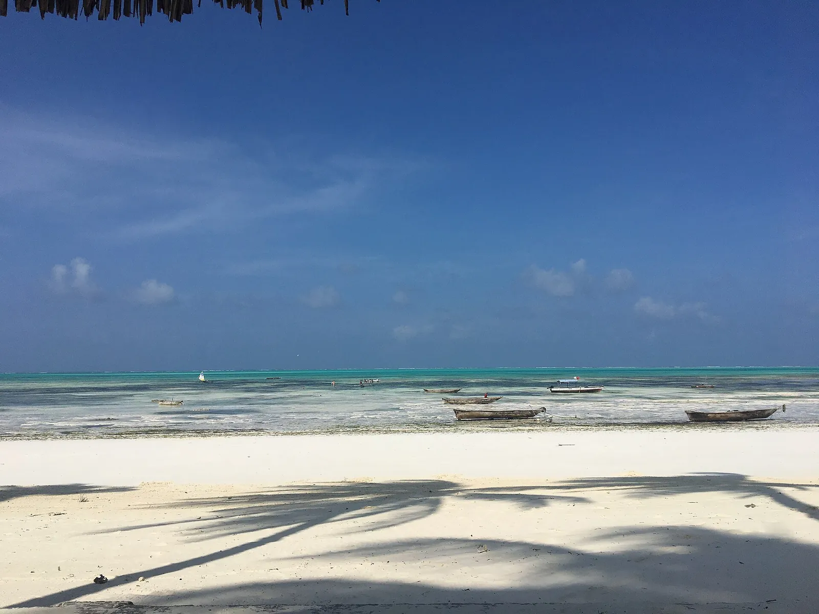 Palm shadows on Jambiani beach with boats offshore